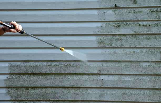 Best Fence Cleaning  in Palos Verdes Estates, CA